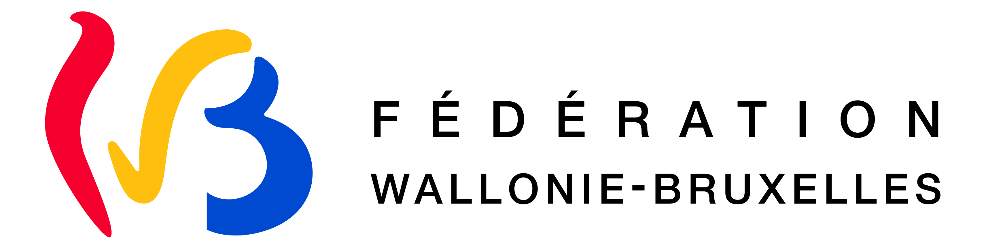 Federation wallonie-bruxelles